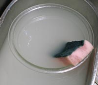 米ぬかで重曹を節約する方法の一枚目の画像